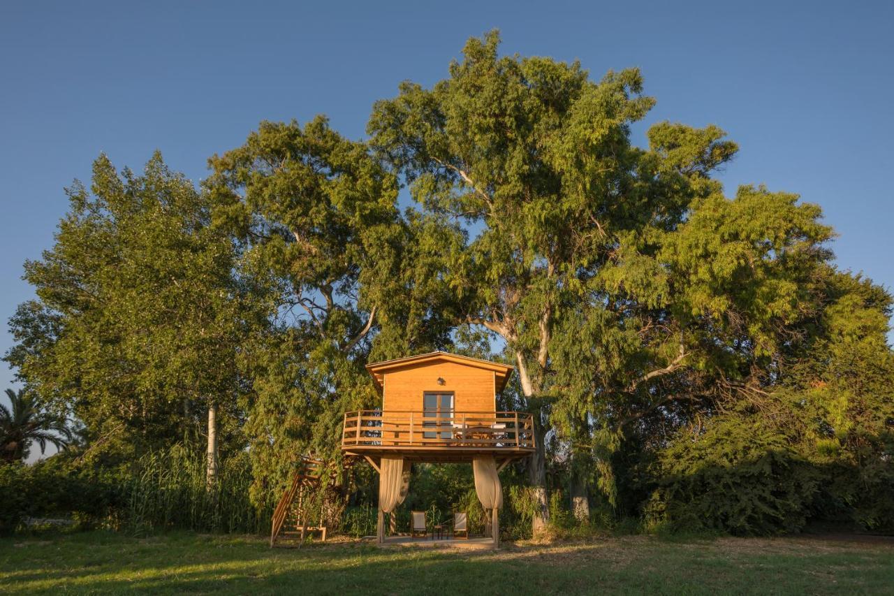 לגאנאס River Treehouse מראה חיצוני תמונה