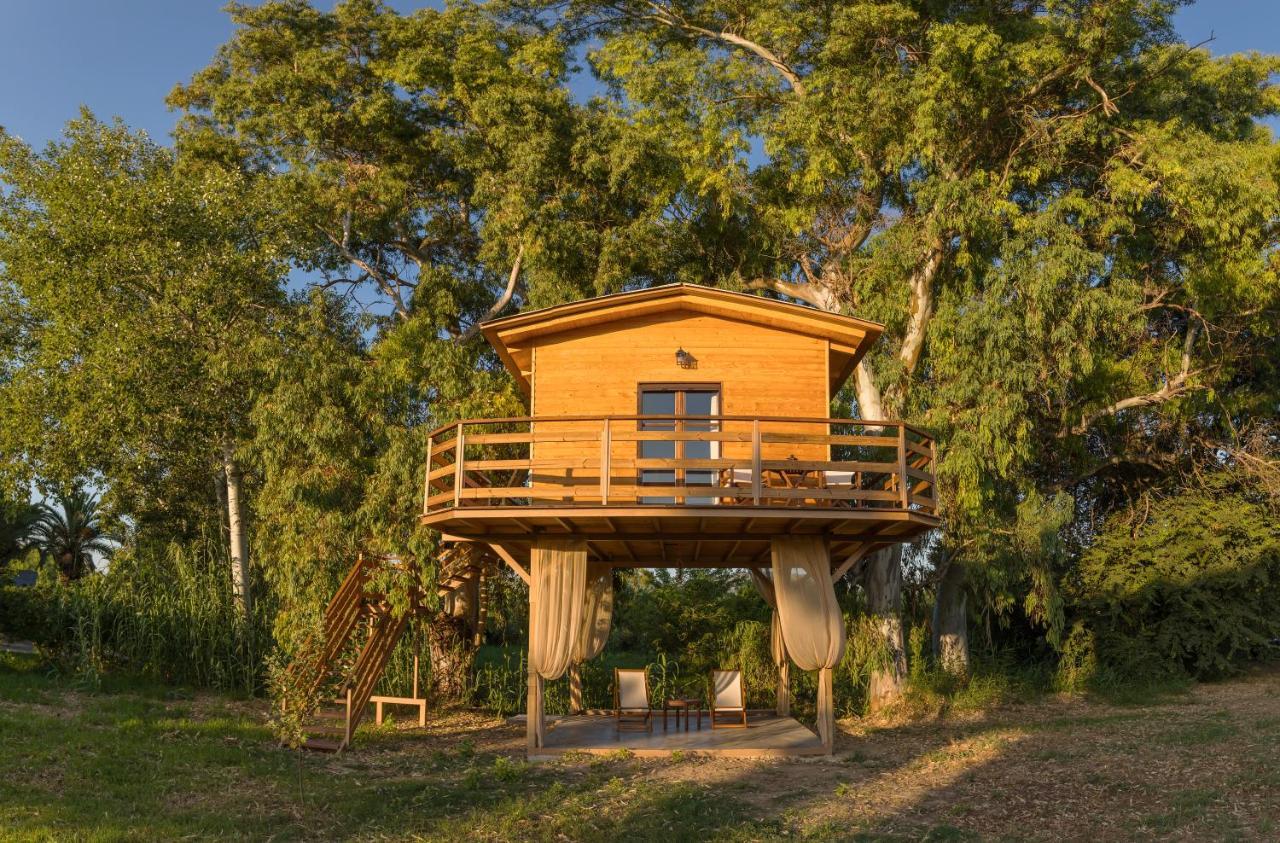 לגאנאס River Treehouse מראה חיצוני תמונה